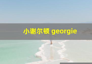 小谢尔顿 georgie